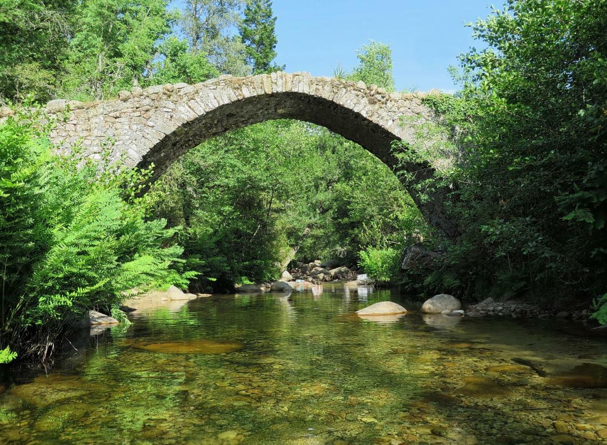 Locsera Porticcio  Bagian luar foto